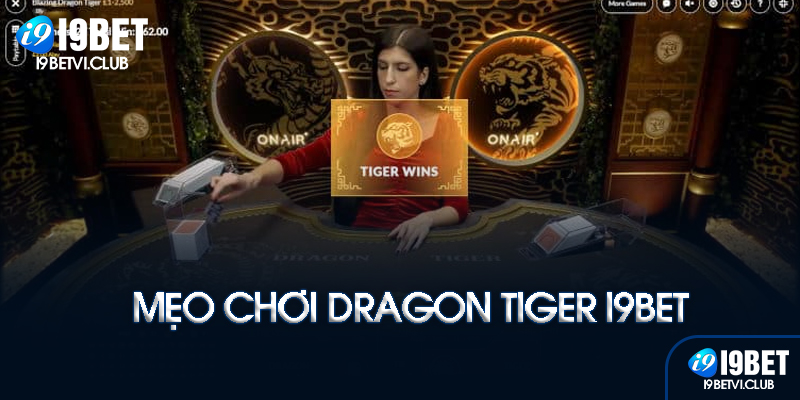 Mẹo chơi Dragon Tiger